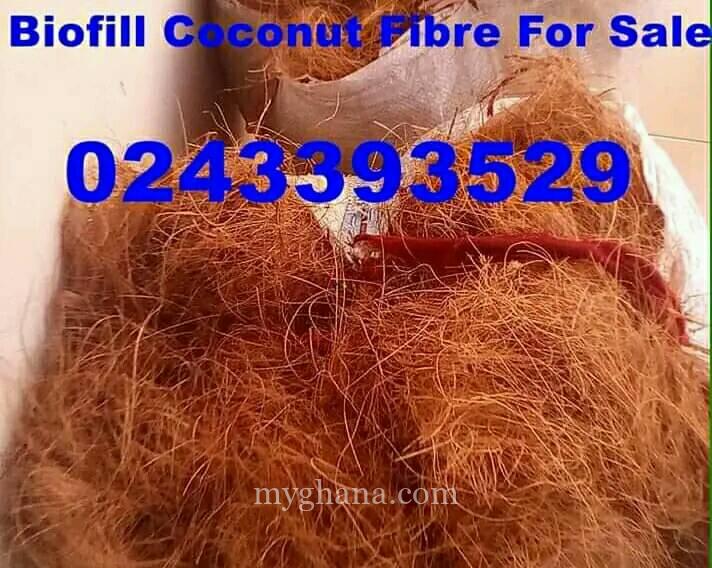 Coconut Fiber