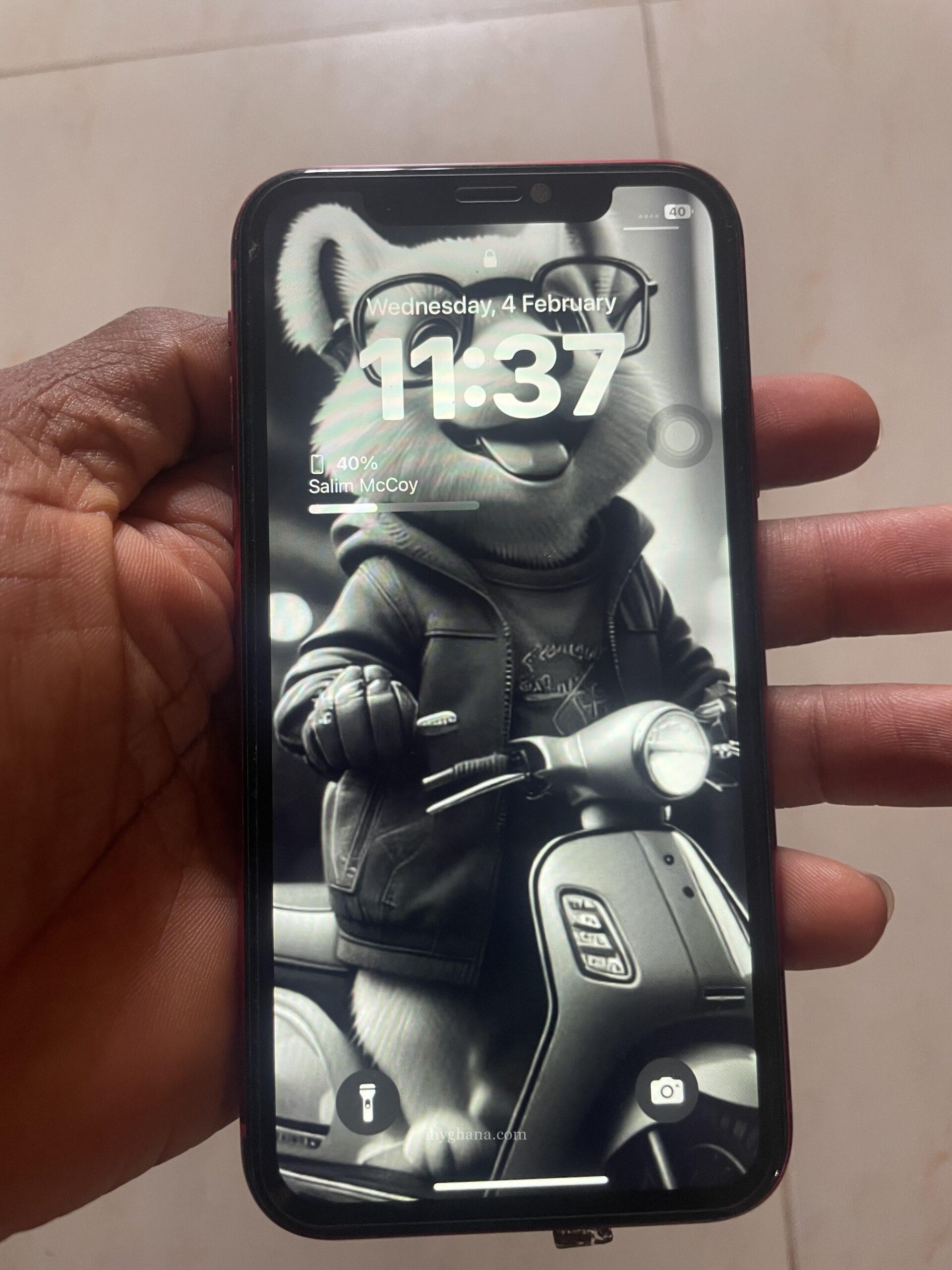 iPhone XR