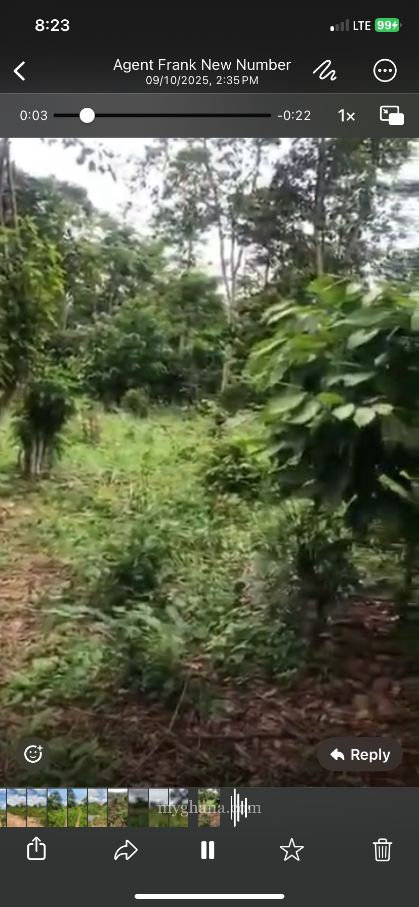 300+ Acres Agricultural Land at Adaklu(Helekpe)-HO