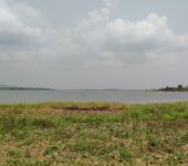 4000+ Acres Irrigable FARM LANDS for LONG RENT
