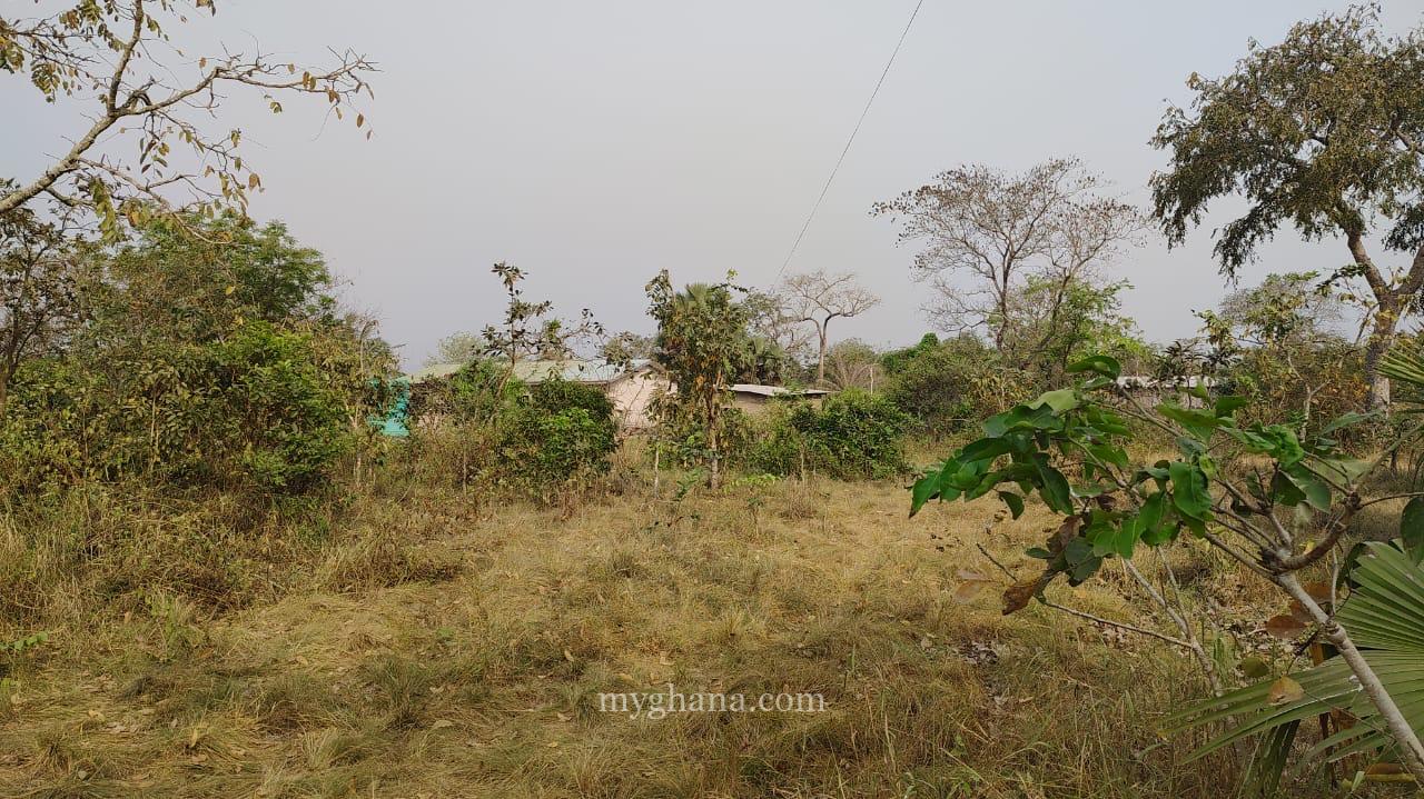 50 Plots of development Land at Sokode-HO Municipality,Volta Region