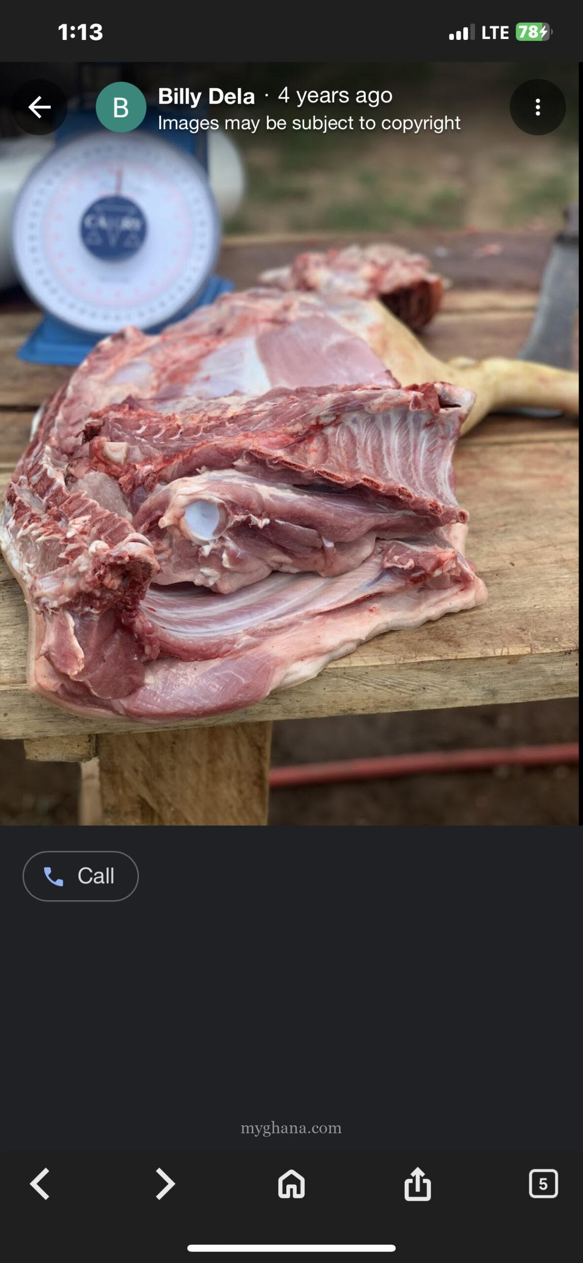 Pigs