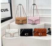 Ascy’s collection