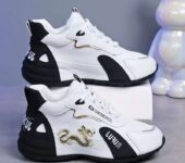 Elegant men’s shoes