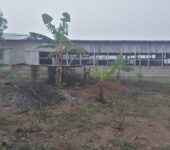 Poultry Farm House for sale