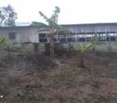 Poultry Farm House for sale