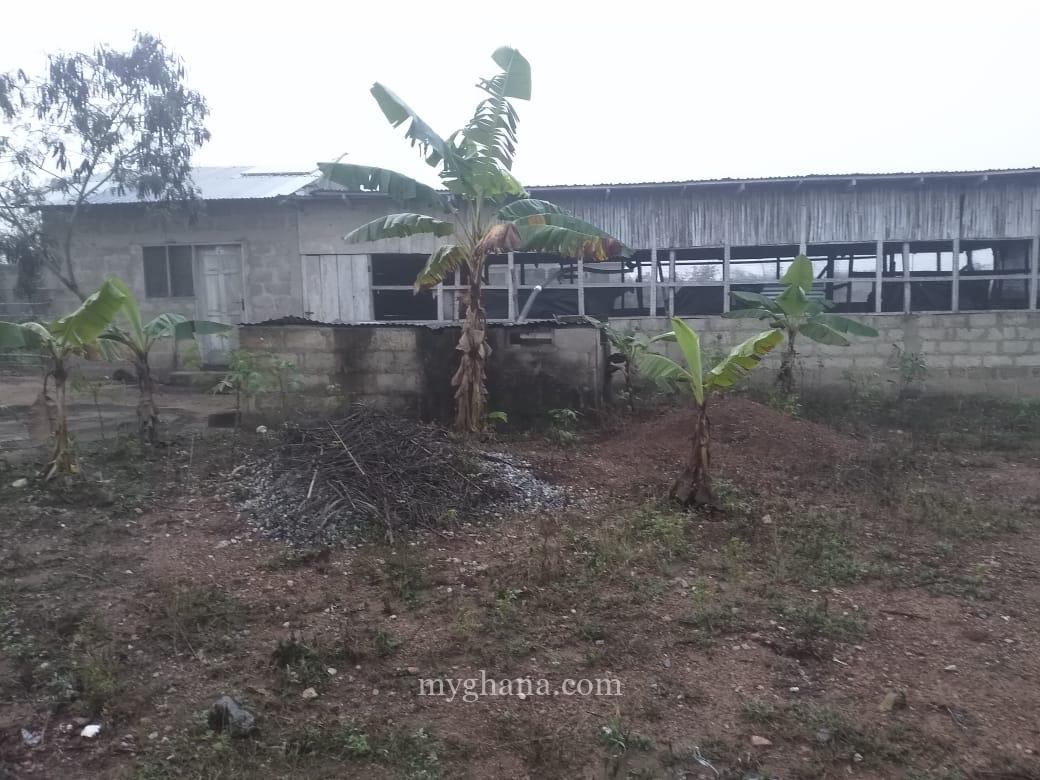 Poultry Farm House for sale