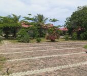 6 bedroom furnished house with large garden and trees to let at New Ningo