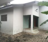 3 bedroom house with large garden and trees to let at Dzorwulu near bedmate