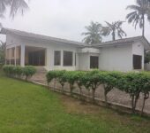 3 bedroom house with large garden and trees to let at Dzorwulu near bedmate