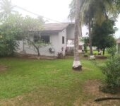 3 bedroom house with large garden and trees to let at Dzorwulu near bedmate