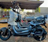 Goldern horse Electric Bicycle