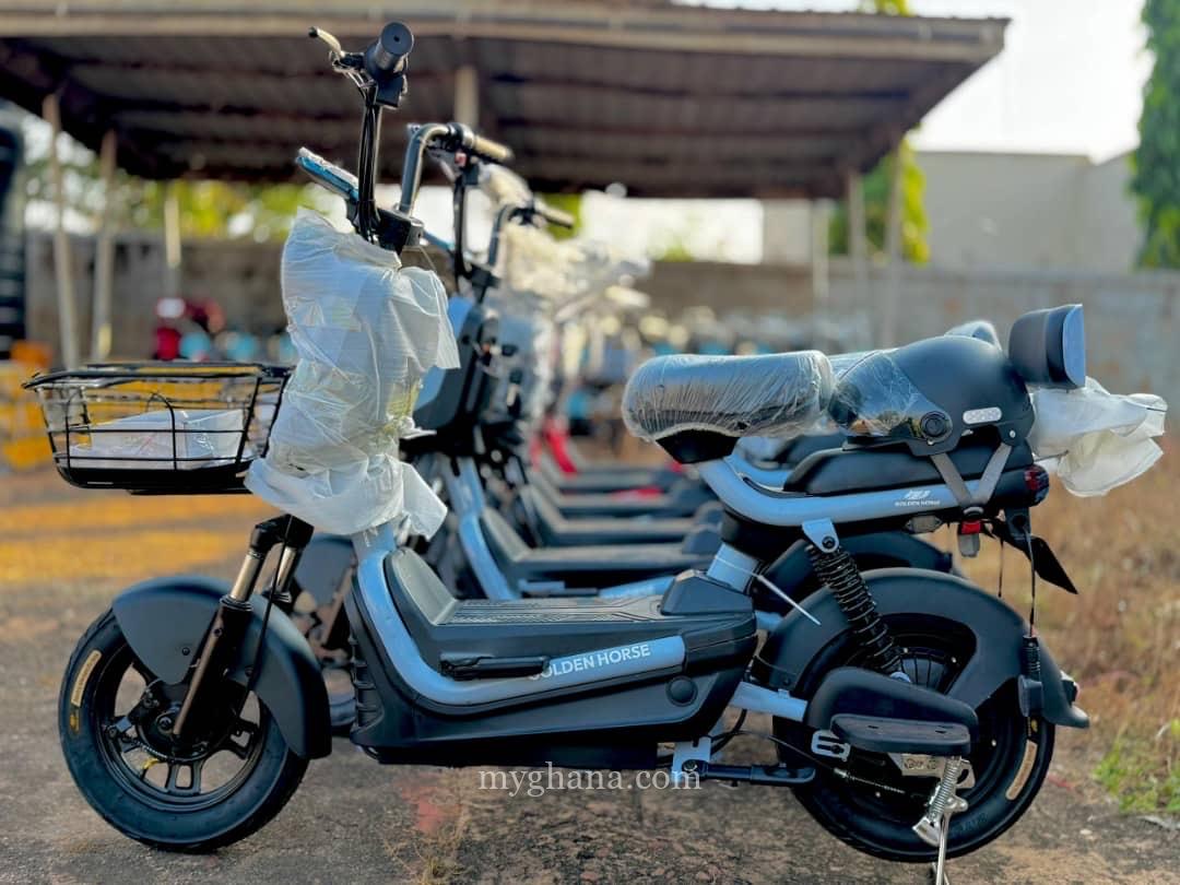 Goldern horse Electric Bicycle