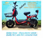 Goldern horse Electric Bicycle