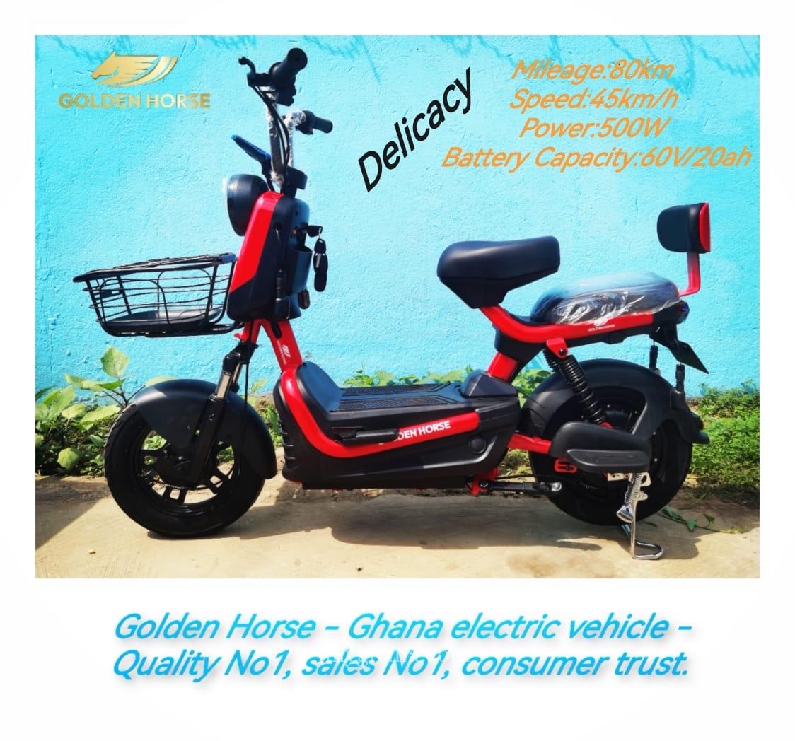 Goldern horse Electric Bicycle