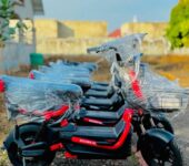 Goldern horse Electric Bicycle