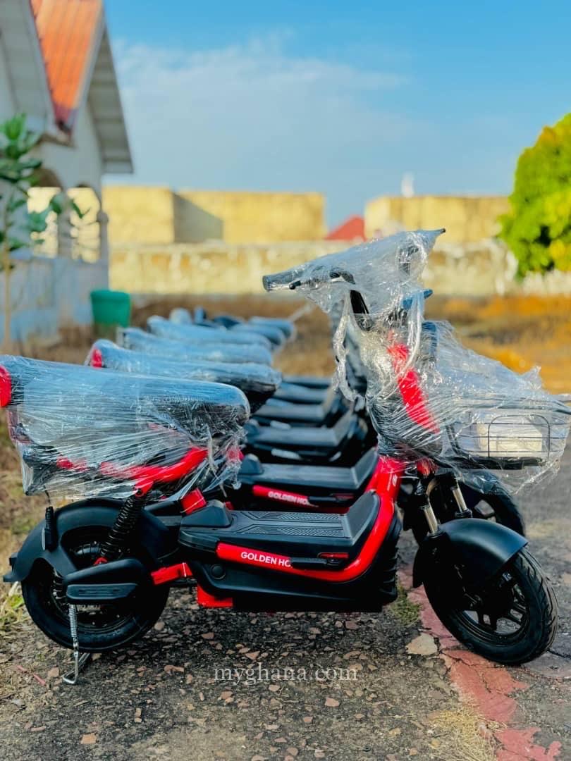 Goldern horse Electric Bicycle