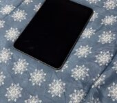 Ipad Mini 6