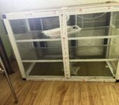 Glass show case for food