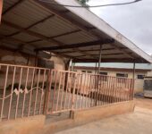 Container with land payment settled for sale