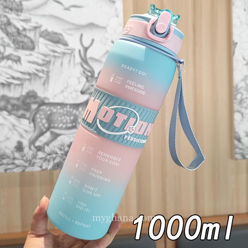 New Gradient Frosted Water Bottle with One-Click Pop-Up