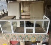 Show case glass koko stand