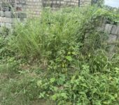 Documented land and building for sale