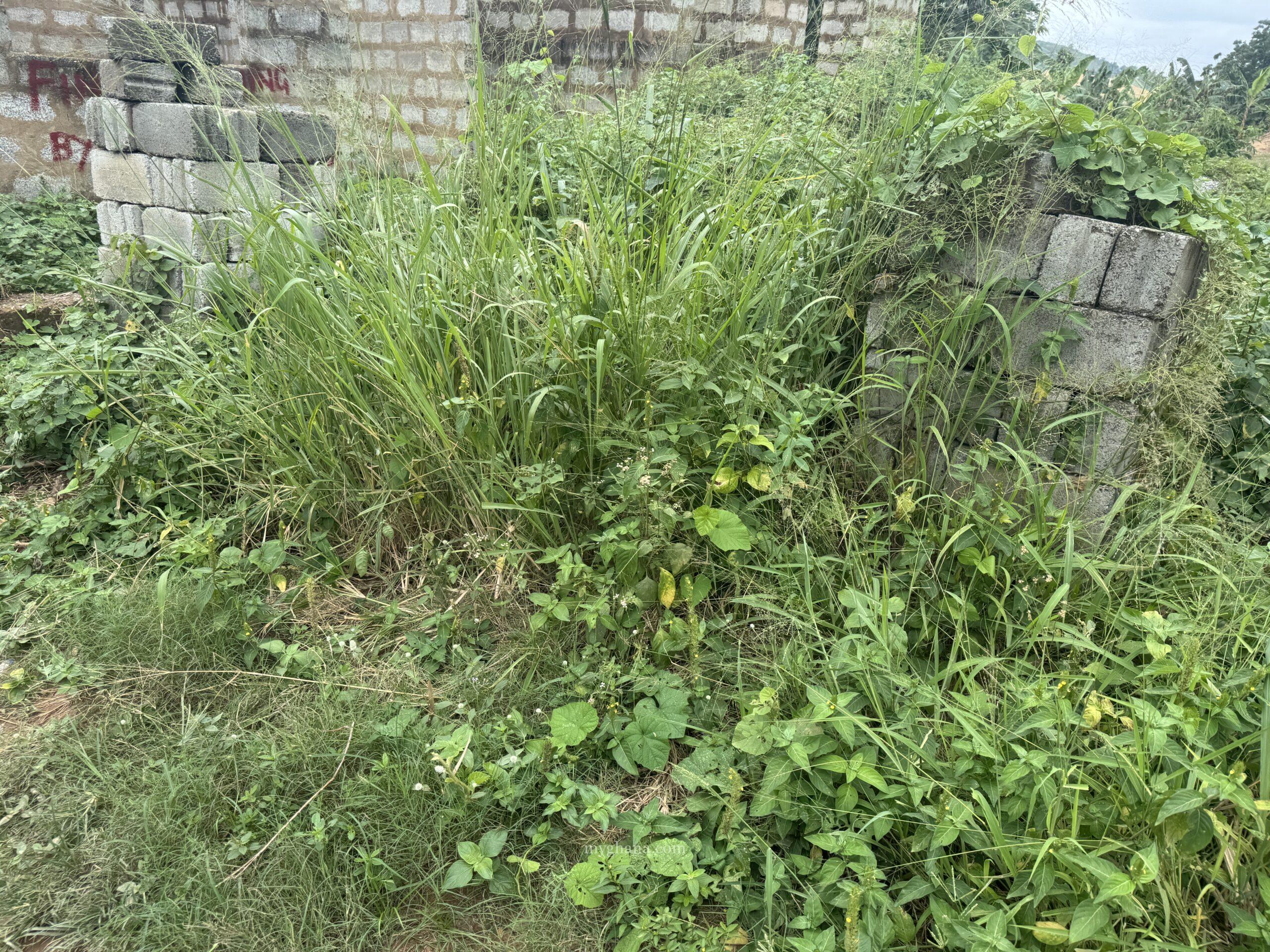 Documented land and building for sale